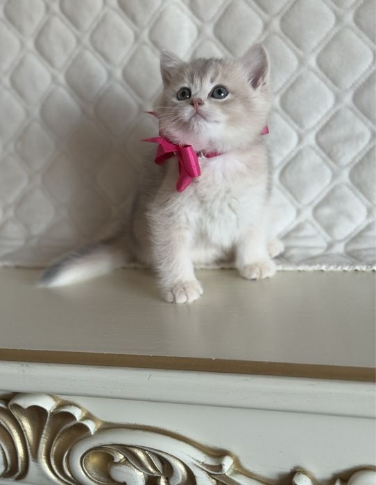 Все найкраще закладено в цих дітках.