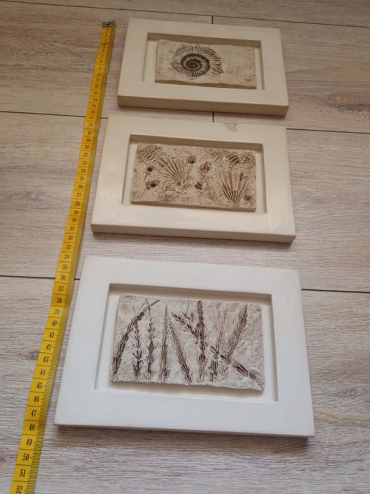 Komplet obrazków z kolekcji