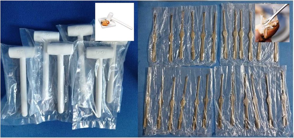 Tray/Drainer/Other Restaurant Items442792952349347842