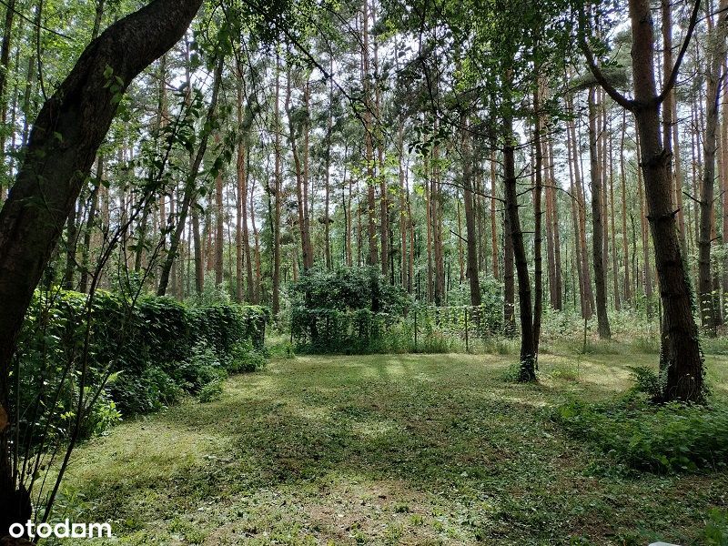 Działka w lesie 2818 m², bezterminowe WZ na dwa domy