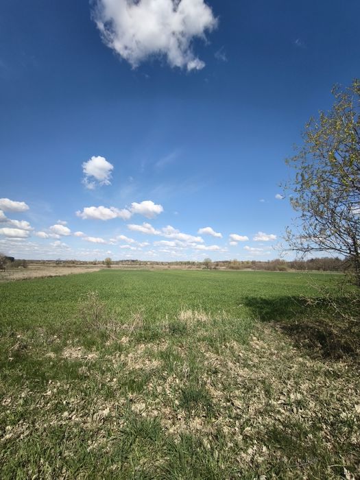 Продаж земельної ділянки в Ольшаниці