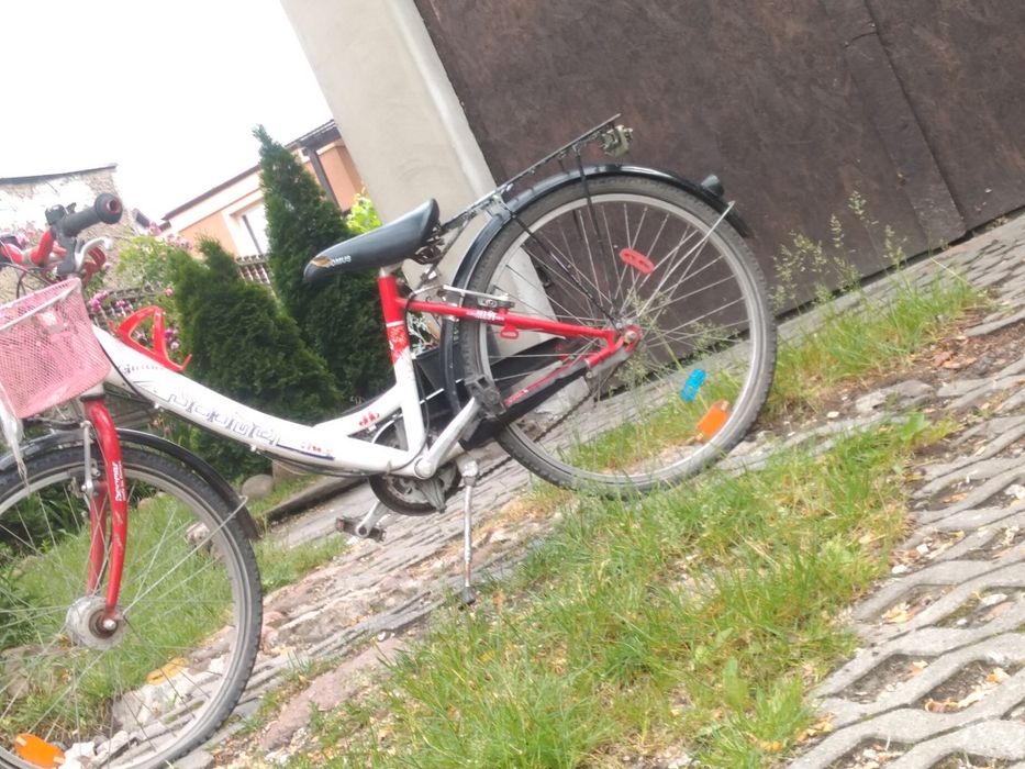 Rower dziecięcy boomer (24cale)