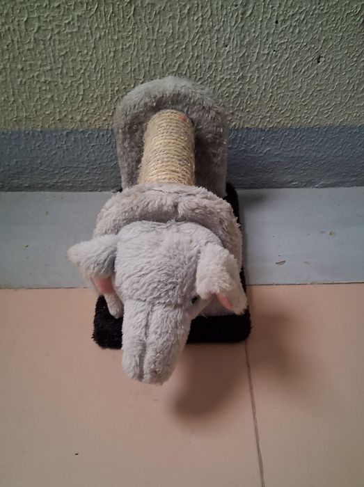 Arranhador para gatos - Cat scratcher - HAPPY DAY