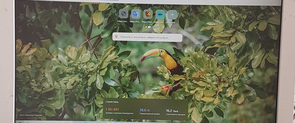Monitor LCD Samsung SyncMaster 710V  +PREMIA