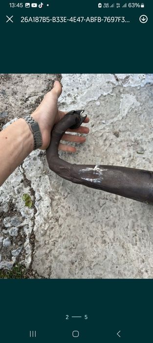 giannelli reverse horizont