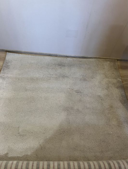 Килими в кімнату 1,50х2,50 та 2х3 метри