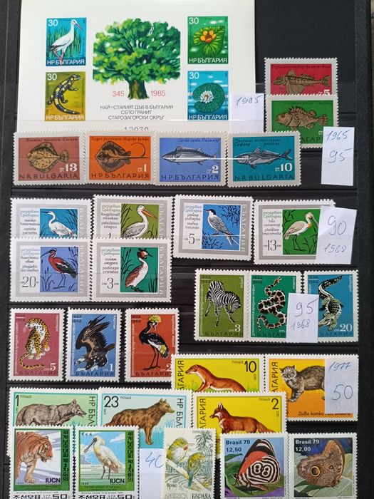 Продам чистые марки Фауна.