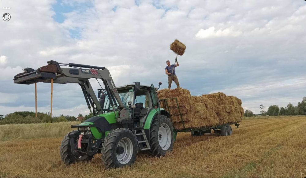 Słoma/siano w kostki/ bele