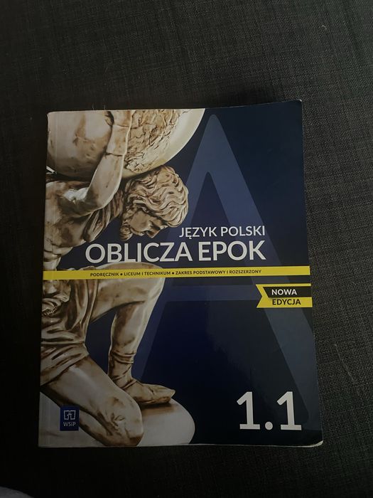 Podręcznik do Języka Polskiego WSiP