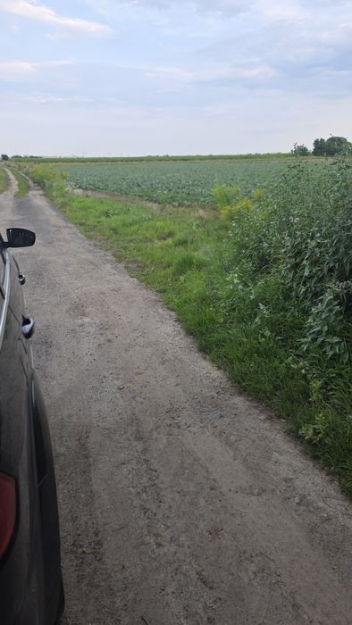 Działka 7 300 m² (73 arów) – Stare Babice, doskonała lokalizacja