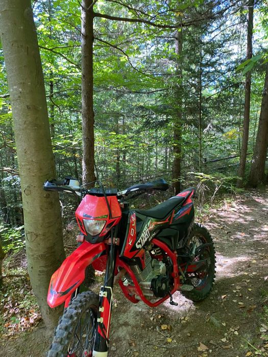 Продам кові Стар 250