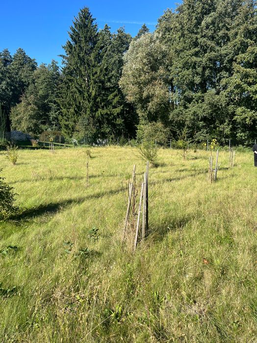 Sprzedam bezpośrednio działkę