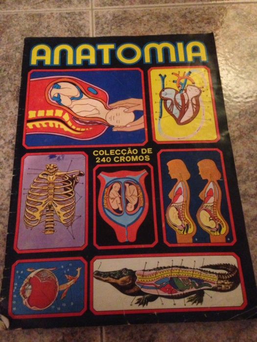 PARA COLECIONADORES Caderneta Anatomia Anos 70 completa