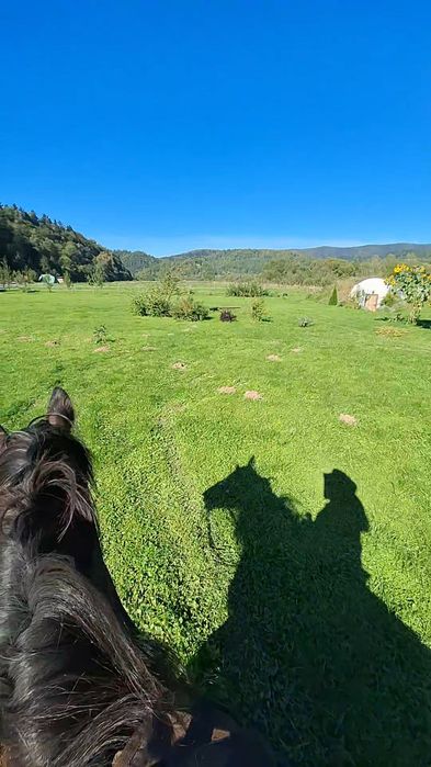 Drewniany domek na odludziu  Domki z Bali Ciche Marzenie Bieszczady