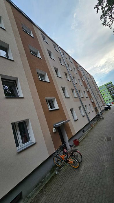 Zdjęcie 8