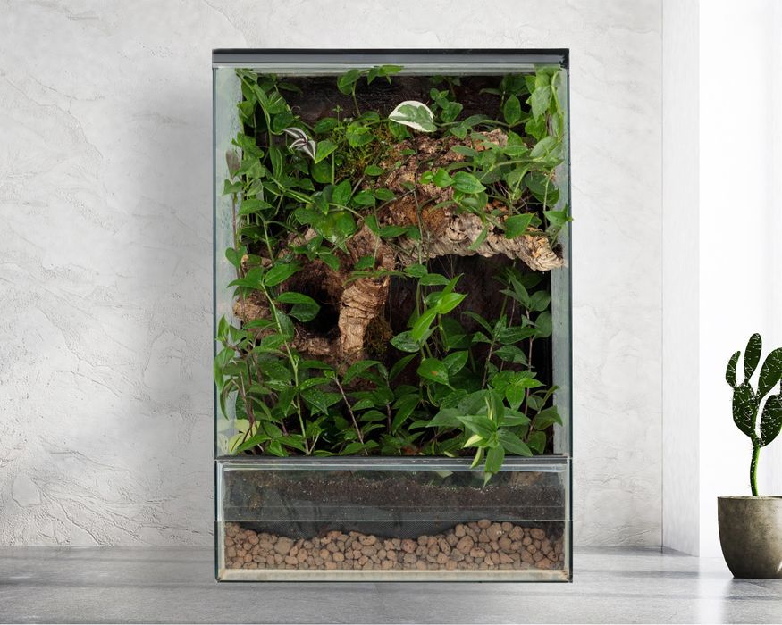 Terrarium gekon paludarium