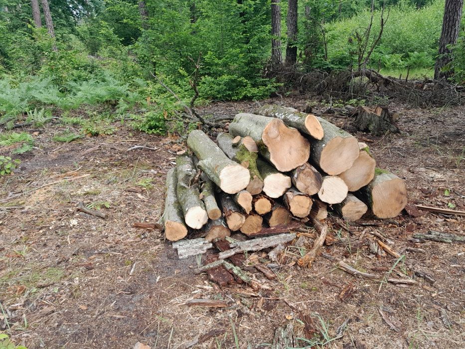 Drewno kominkowe opałowe