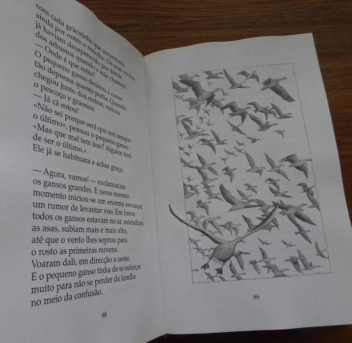A História do Pequeno Ganso Que Era Vagaroso