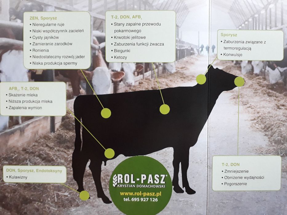mycofix plus 5E preparat na mykotoksyny w paszach lochy knury prosięta