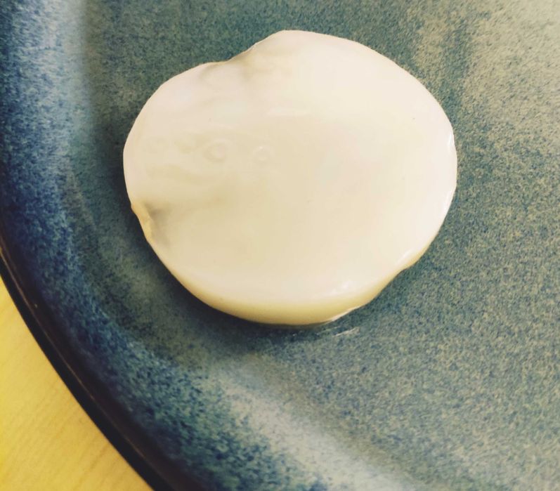 Kombucha - kombucza grzybek herbaciany (Scooby + starter)