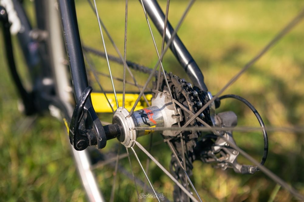 Rower Boardman Team C