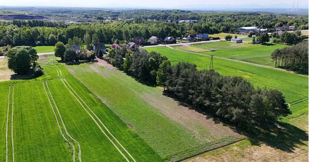 Działka budowlana przy urokliwym lasku. Wodzisław Śląski - Wilchwy - Widok 3