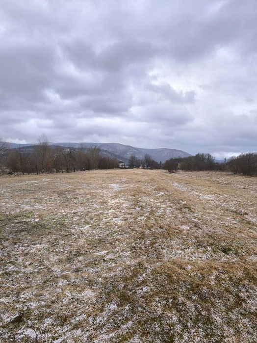 Продається приватизована земельна ділянка в Карпатах