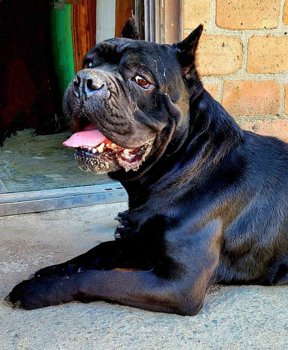 Гарний хлопчик готовий до побачення
