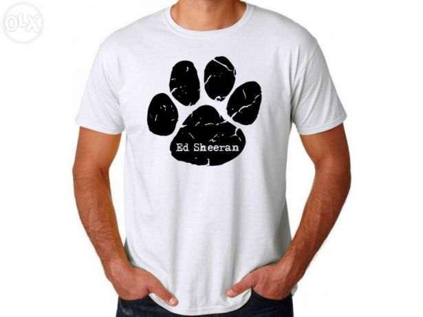 Ed Sheeran / Shawn Mendes / Harry Styles / Justin Bieber - T-Shirt