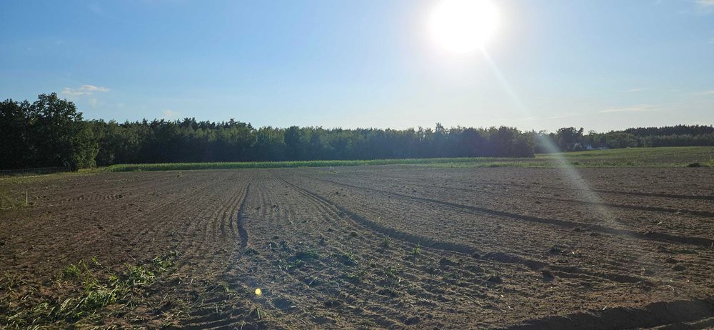 Działki budowlane, blisko las i jezioro !! (1162 m2, MPZP, dwa wjazdy)