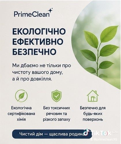 Професійна хімчистка меблів