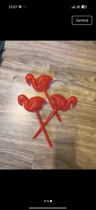 Nawadniające rośliny flamingi 3 szt