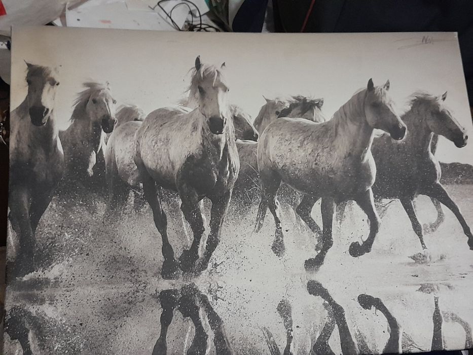 Quadros de decoração