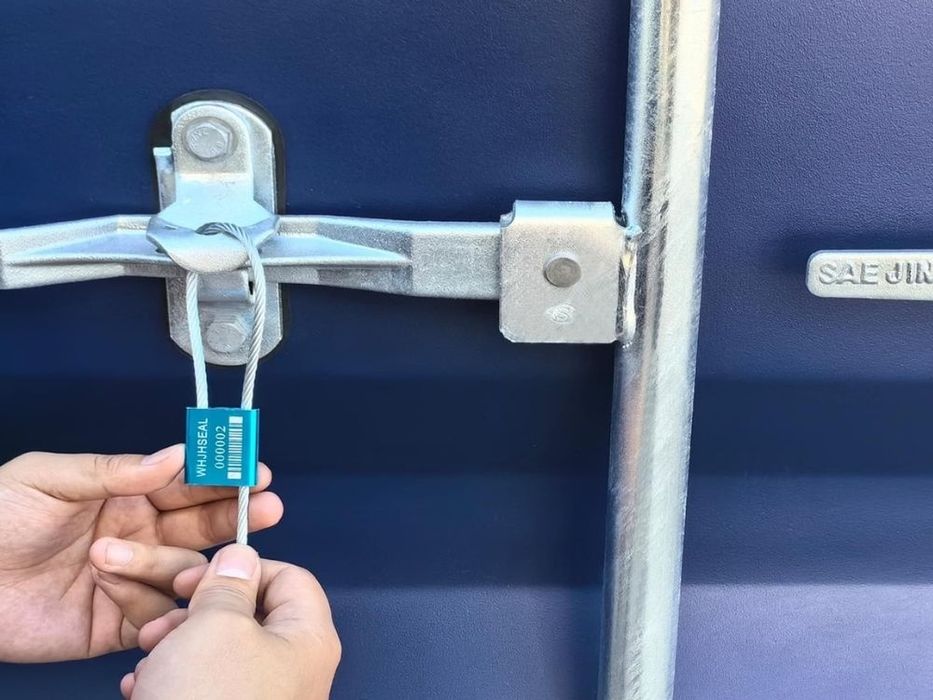 Пломби силові тросові, довжина 50 см і 100 см, Ø 2,5 мм