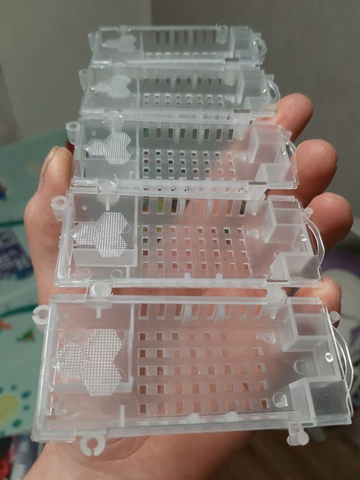 Кліточки для пересилки маток "Прозорі"