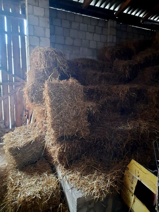 Sprzedam siano -10zł oraz słomę -8zł  w kostce, ładne, dla zwierząt,