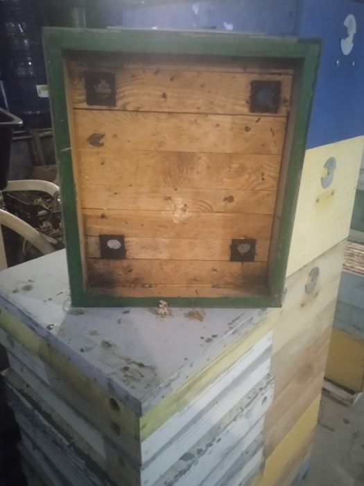 Продам 50 вуликів з рамками