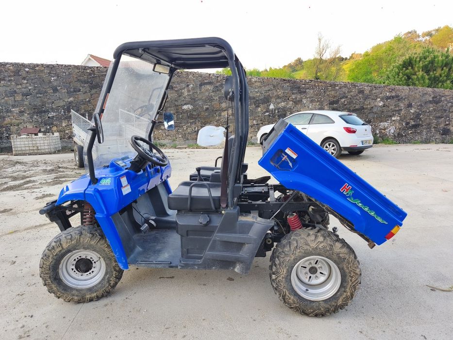 Buggy / UTV / utilitário / carrinho/ hytrack