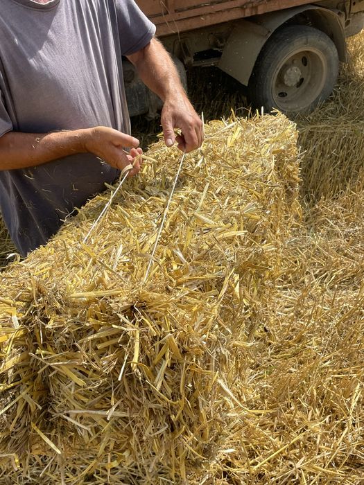 Продам солому в тюках, є необмежена кількість