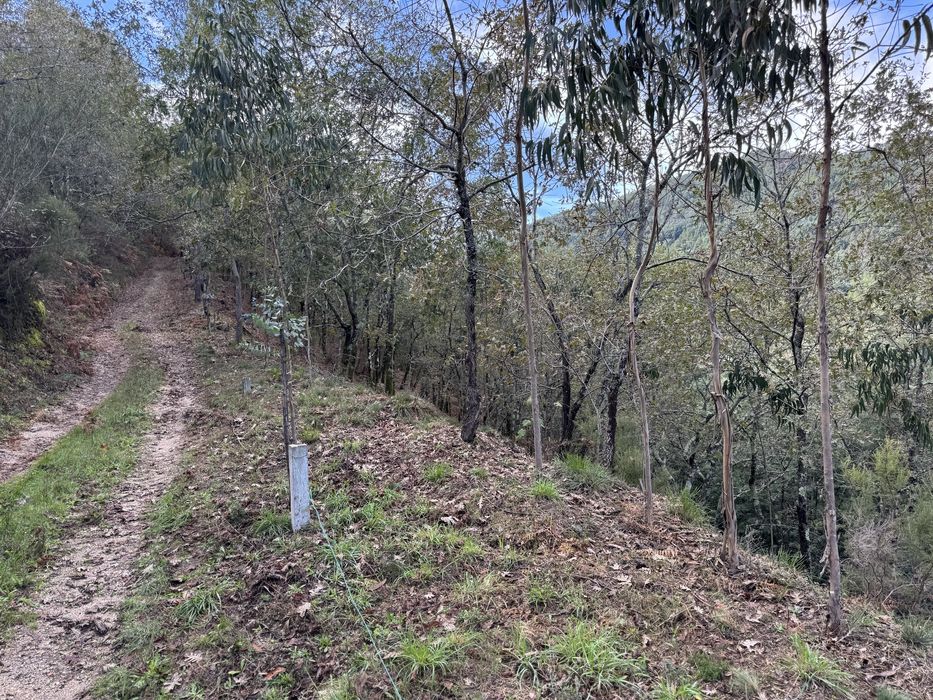 Terreno junto a Barragem de Albufeira da Caniçada, Louredo