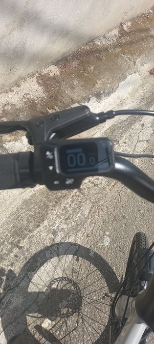 Fiido 250w bicicleta eletrica