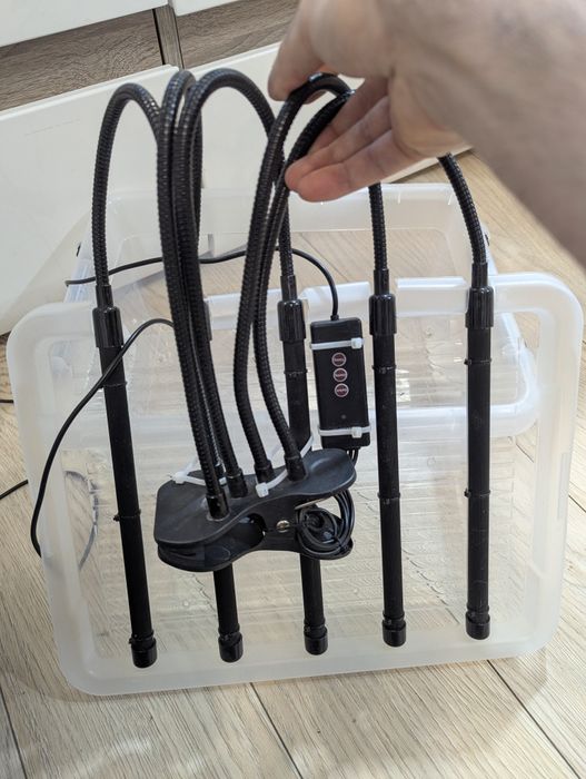 Lampa do roślin Mini Growbox 5xLED – Gotowy system.LED Grow Light 5 głowic Full Spectrum + Timer