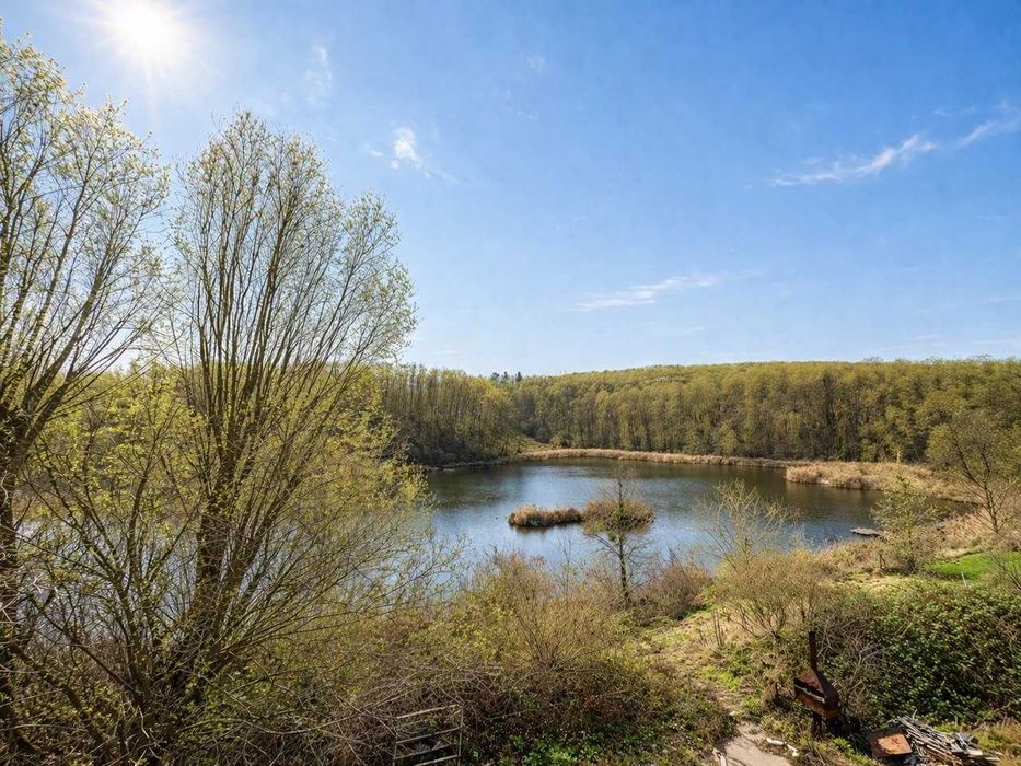 Будинок з панорамним видом на озеро в с. Горбовичі, 25 км від Києва