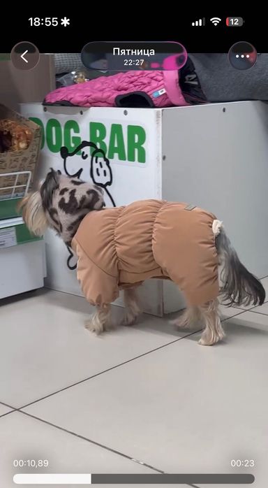 Комбинезон для маленьких собак