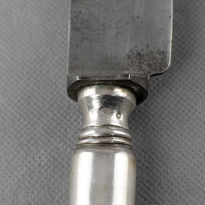 Trinchante de carne com garfo e faca, prata Javali