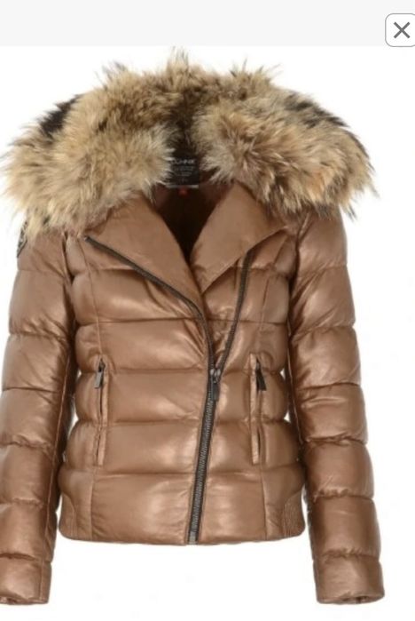 Bomberka  Ochnik skora naturalna jenot naturalny Poszukiwana .