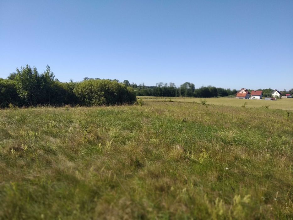 Bezpośrednio    działki      blisko      miasta     i     lasu.