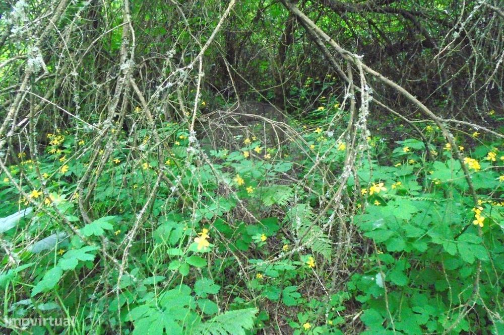 Terreno  para venda