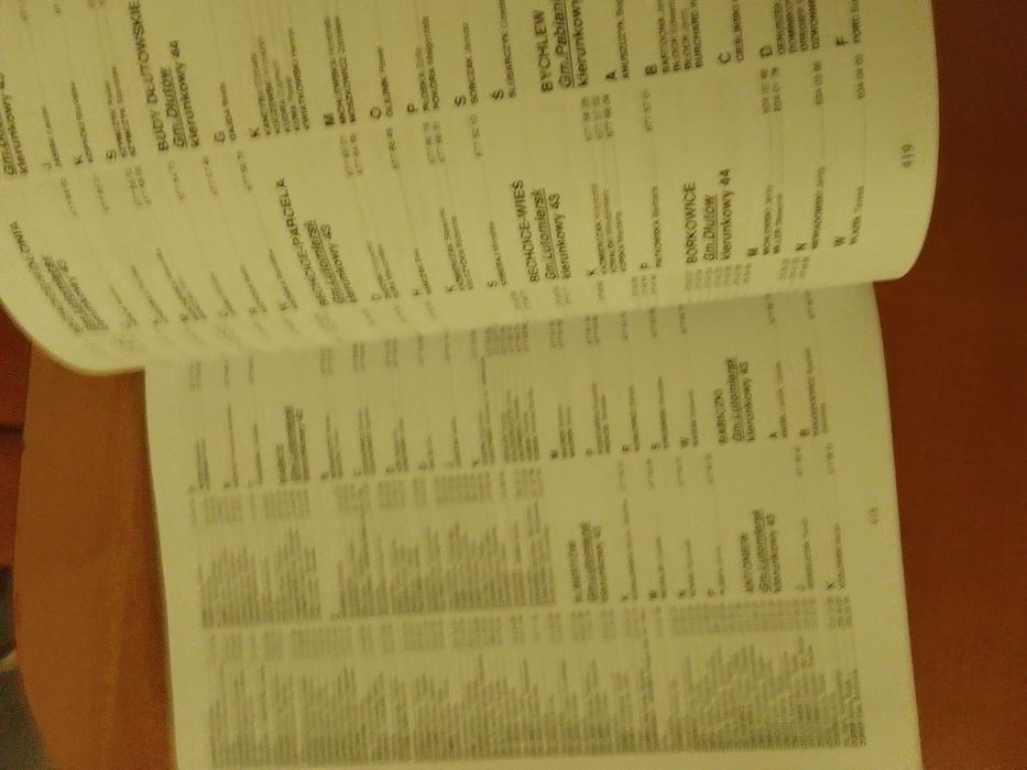 Książka telefoniczna Łódź i powiaty 2010/2011