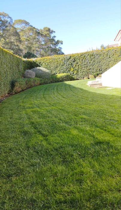 Manutenção de JARDIM